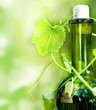 Bottle of red Wine and grape leaves