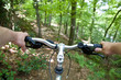 Mountain biking in the forest
