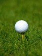 Golf ball on tee in grass