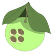 Apple house