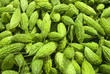 bitter gourd