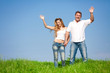 Foto: Summer meadow Summer meadow