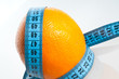 Orange Fruit with measurement Orange Fruit with measurement