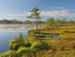 Shore of Lake Kakerdaja