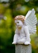Little sad angel in a cementary