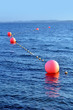 buoys