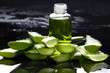 aloe with lotion- Spa still life