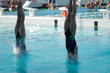 Synchronous jump in water