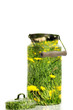 Foto: Milchkanne Sommwiese Milchkanne Sommwiese