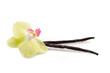 vanilla stick with flower- vaniglia e fiore