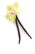 vanilla stick with flower- vaniglia e fiore