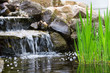 Garden waterfall