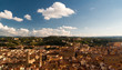 Roofs and Town hall in Florence