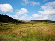 Hautes terres d'Aubrac