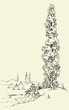 Poplar on the hill Poplar on the hill