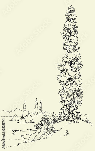 Vector: Poplar on the hill Poplar on the hill