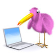 3d Birdy finds a laptop 3d Birdy finds a laptop