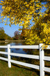 Along a fence row