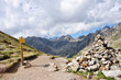 COL 2335m