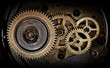 cogwheels in old clock