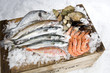 poissons crustacés et coquillages