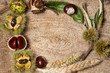 Autumn frame with nuts