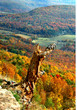 Arkansas Autumn Overlook
