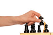 grossmeister plays