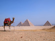 Ägypten  -  Pyramiden von Gizeh
