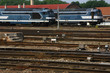 train