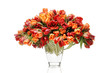 Bouquet of Tulips Bouquet of Tulips