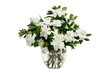 Bouquet of Gardenias Bouquet of Gardenias