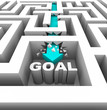 Photo : Breaking Through Walls to Reach a Goal