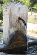 fontana