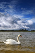 landscape on the lake