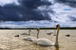 landscape on the lake