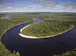 Summer forest beside wild river Summer forest beside wild river