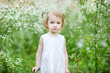 Adorable toddler girl in a meadow