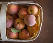 Bushel of Peaches Bushel of Peaches