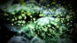 Video: 3d cell and molecules 3d cell and molecules