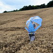 Foto: Regenwetter auf dem Land Regenwetter auf dem Land