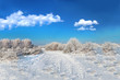 Photo: wild winter scenery and cumulus clouds wild winter scenery and cumulus clouds