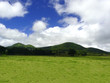 Hawaii, Big Island, Countryside of Waimea Hawaii, Big Island, Countryside of Waimea