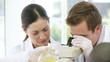 Chemist looking doing scientific research