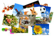 Fotogalerie 4 Fotogalerie 4