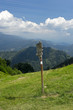 Pontogna