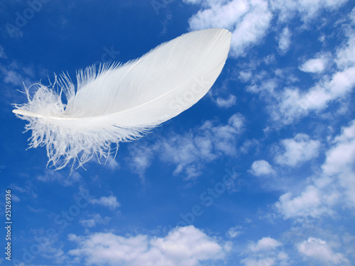 Foto: Feder im Himmel Feder im Himmel