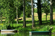 Foto: Eselchen am Fluss Eselchen am Fluss