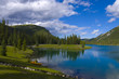 Forget me not Pond Forget me not Pond