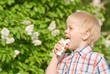Asthma Asthma